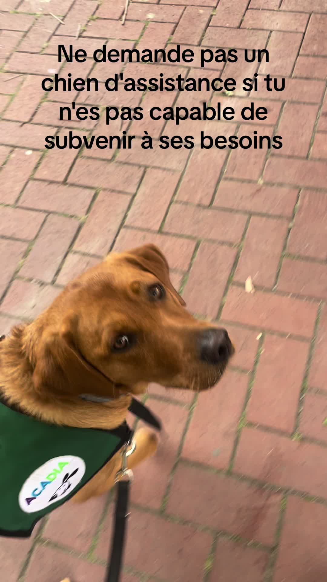 @pepscy_