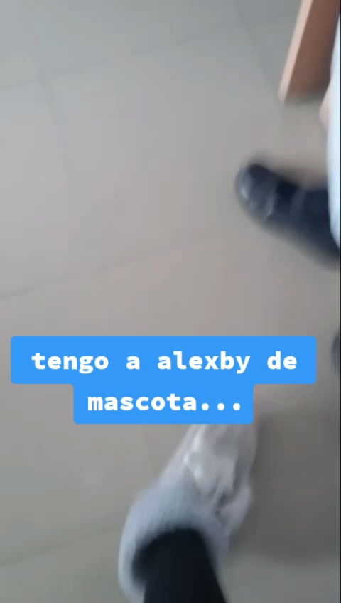 @una jojofan