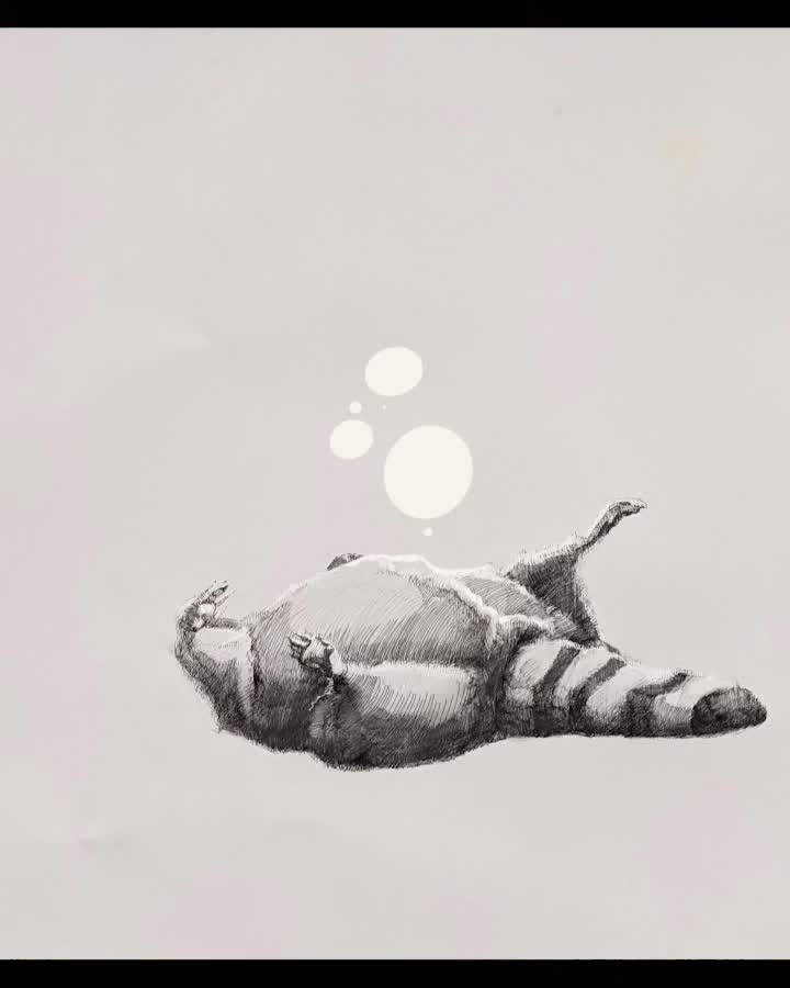 @skettiturtles