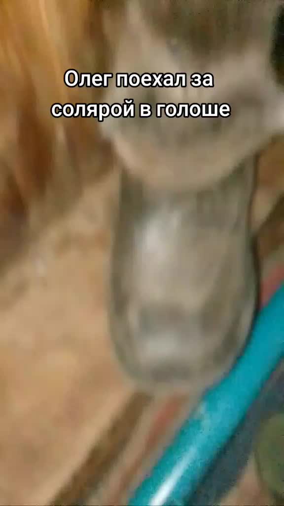 @Лёша в голоше