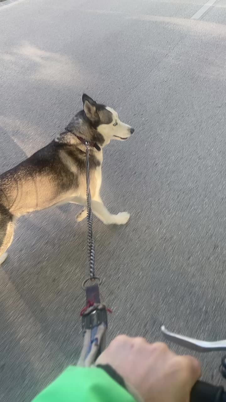 @Neli K&aacute;li, 🥰