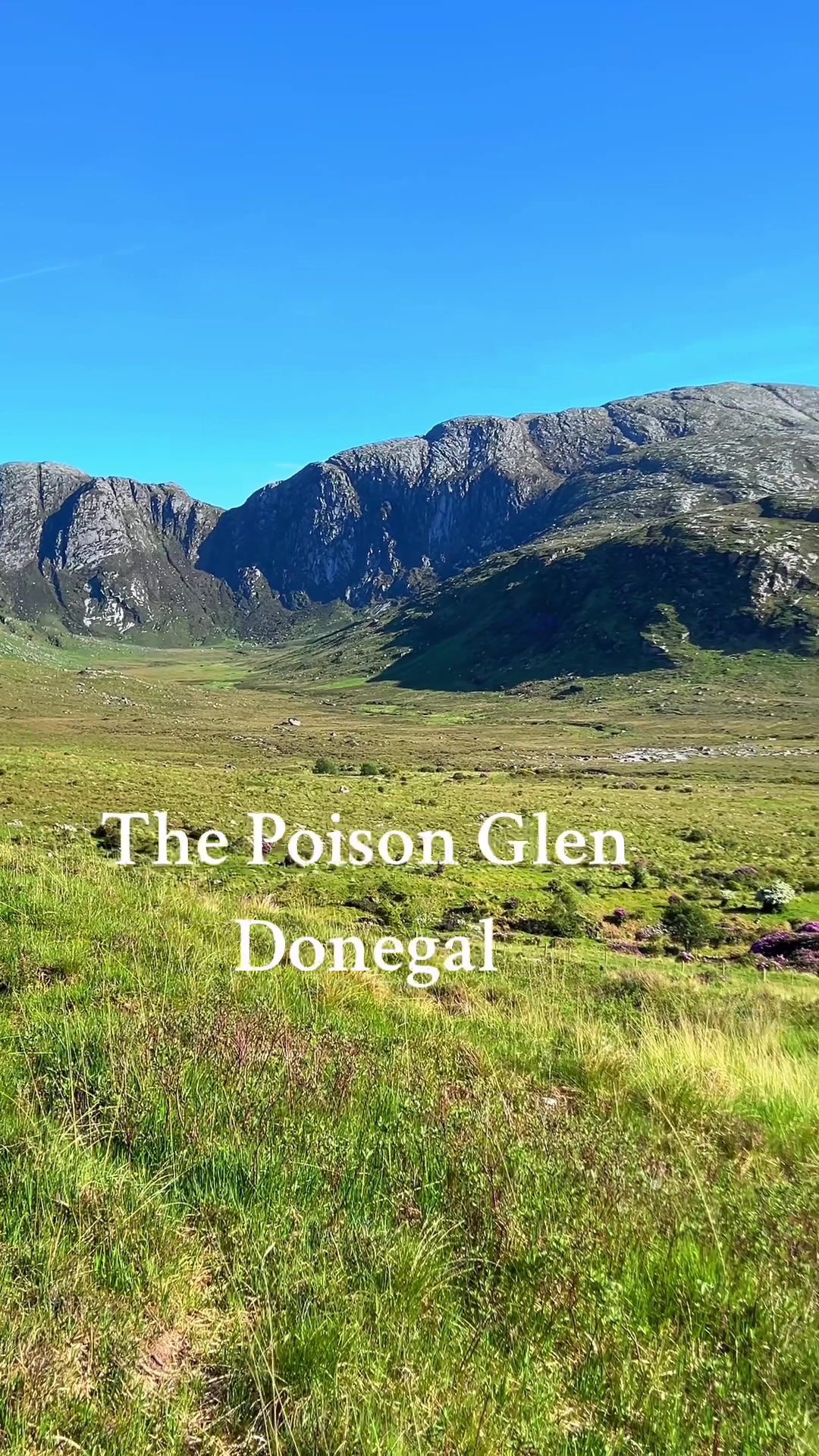 @grá donegal