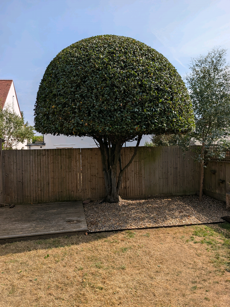 @Gary Hall Garden Services