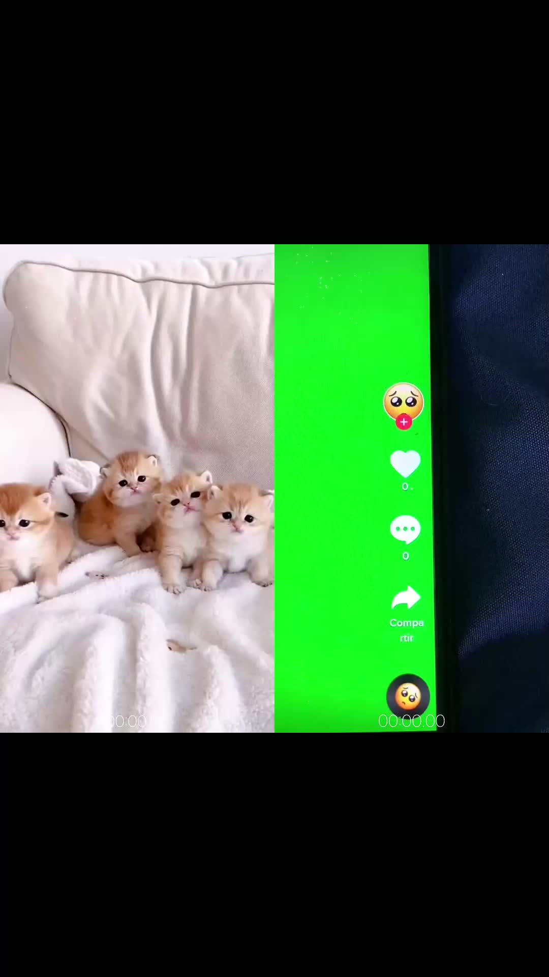 @MAX5Y67E4