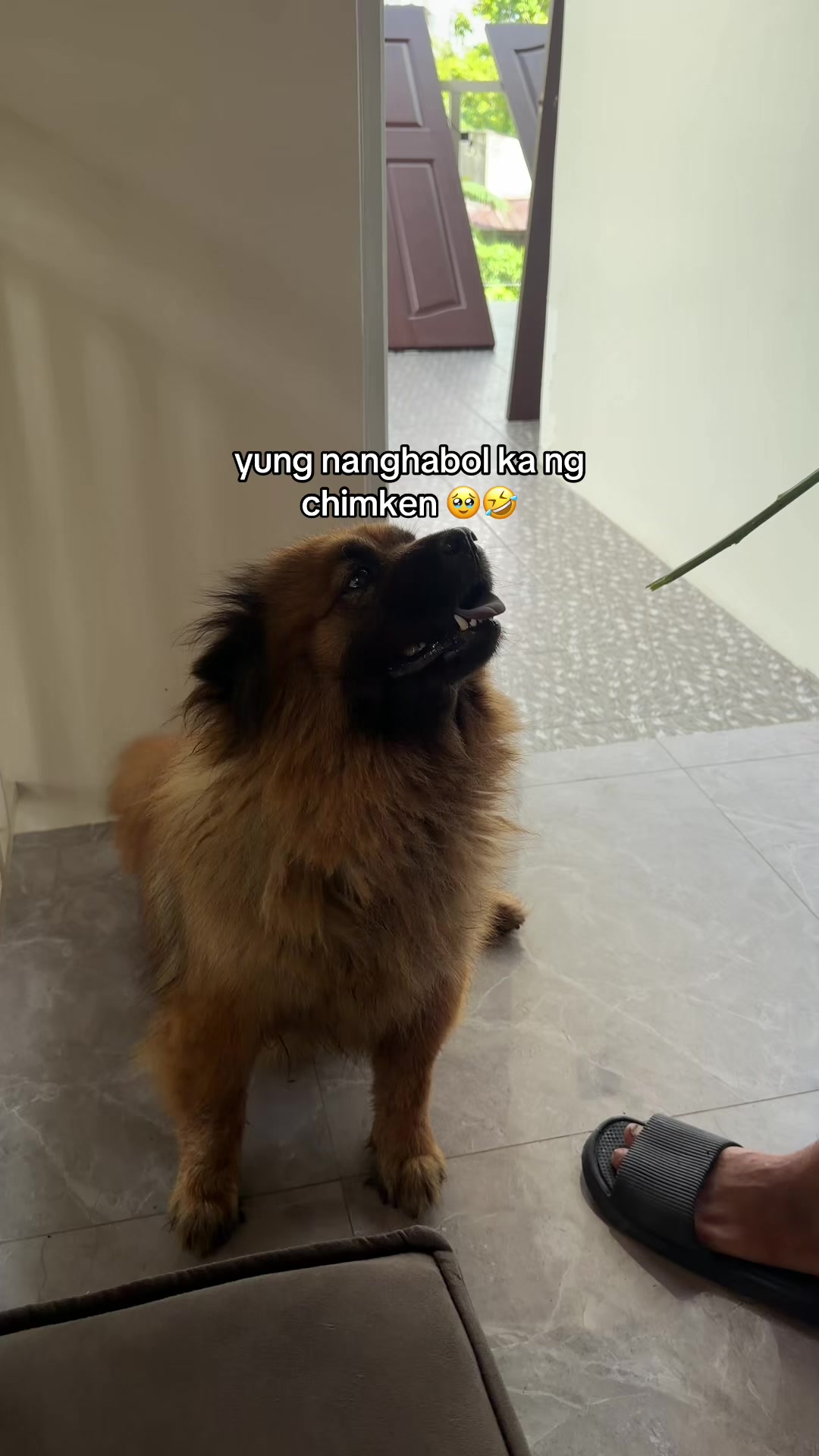 @ALJAMAE