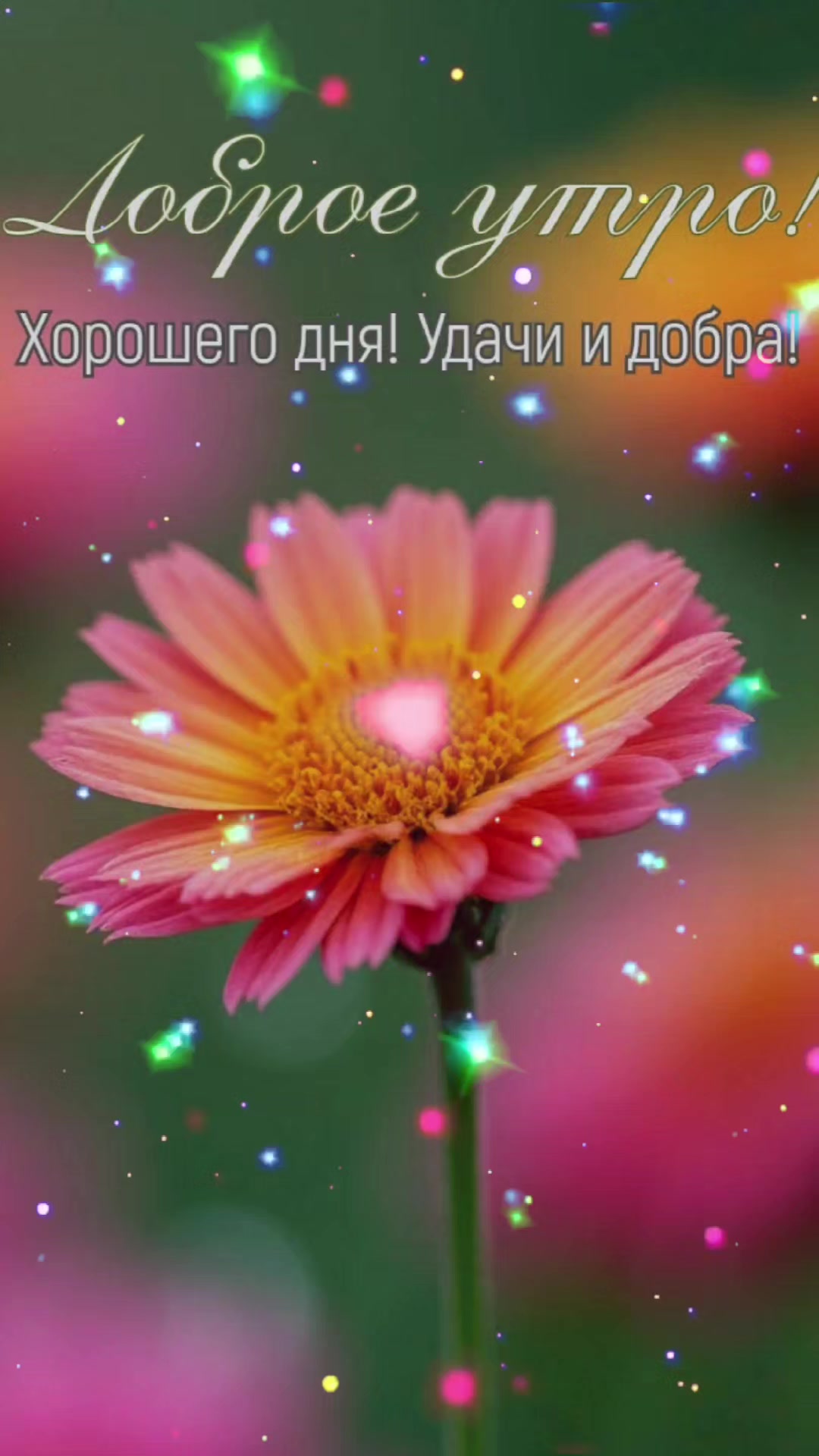 @♥️МАЛЕНЬКАЯ ♥️