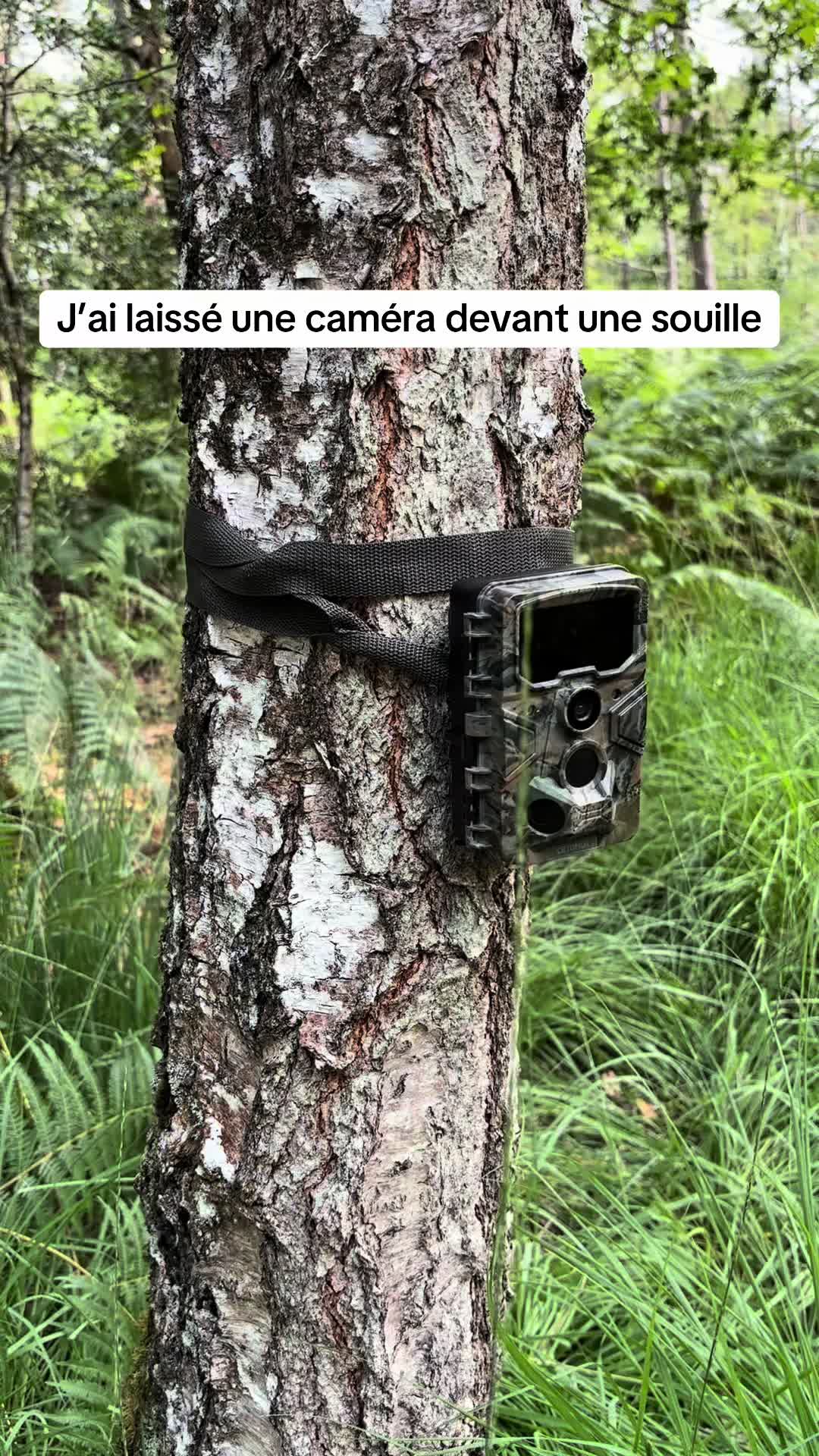 @Axel Wildlife