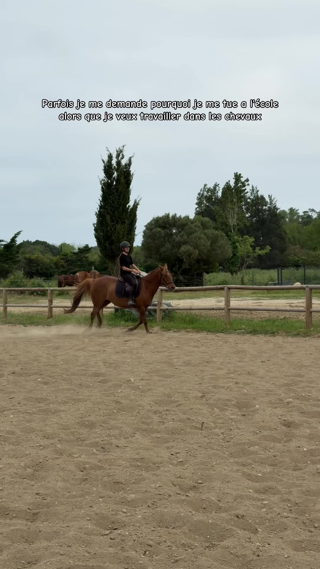 @Tessa 🇫🇷