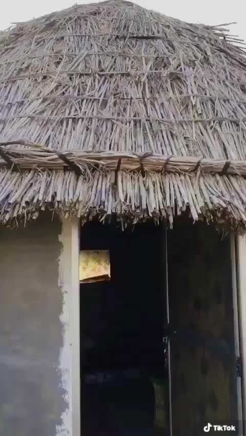 @Krishna Singh Mehta