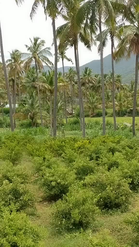 @விவசாயி 💯/💯