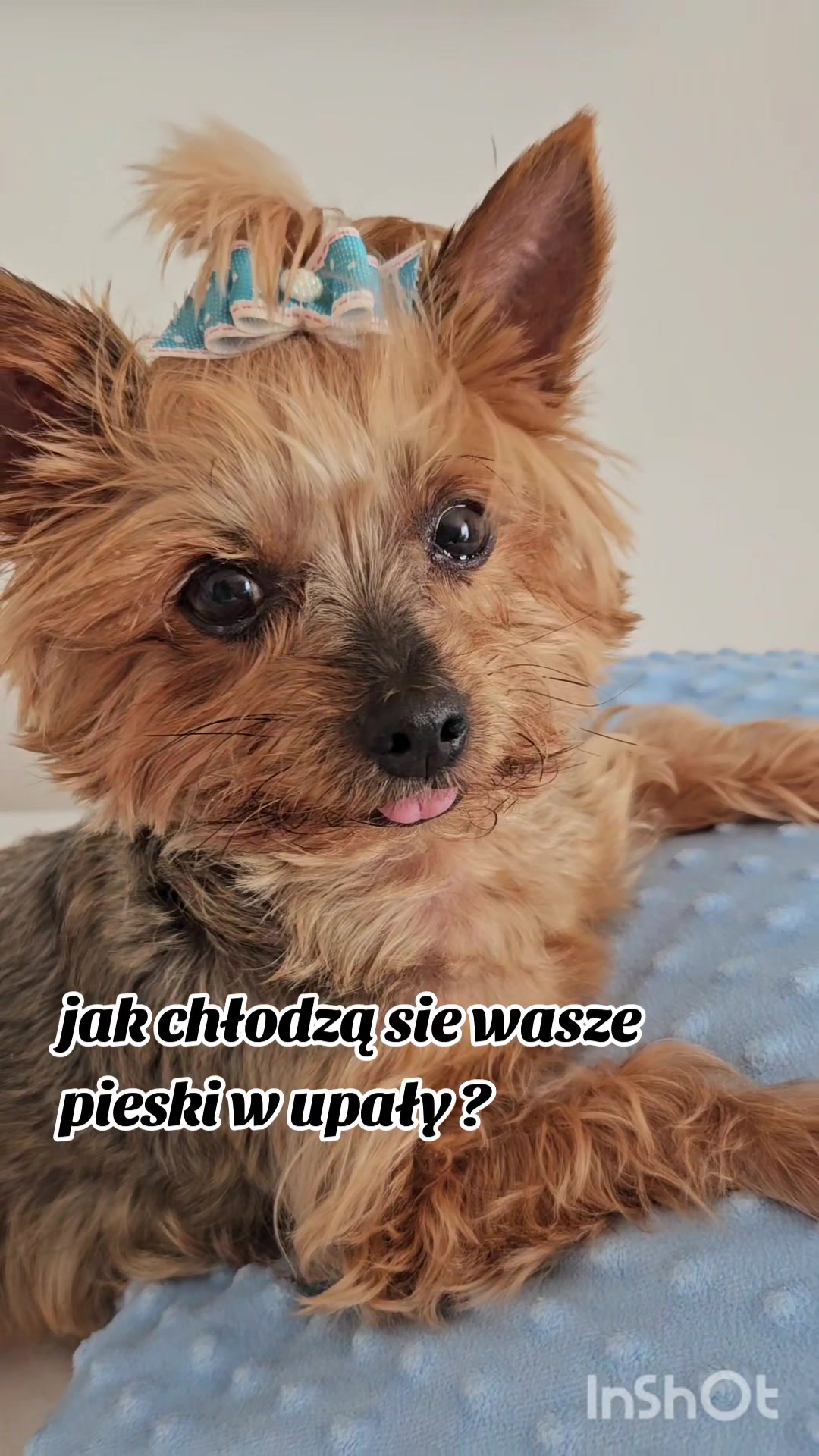 @Ewelina Bednarska