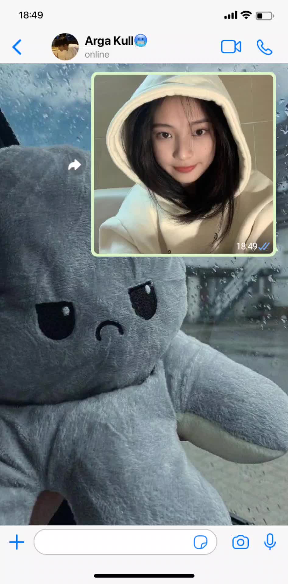 @safawww