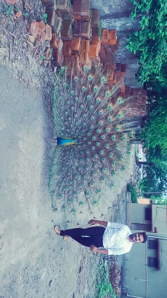 @Sagar Patil