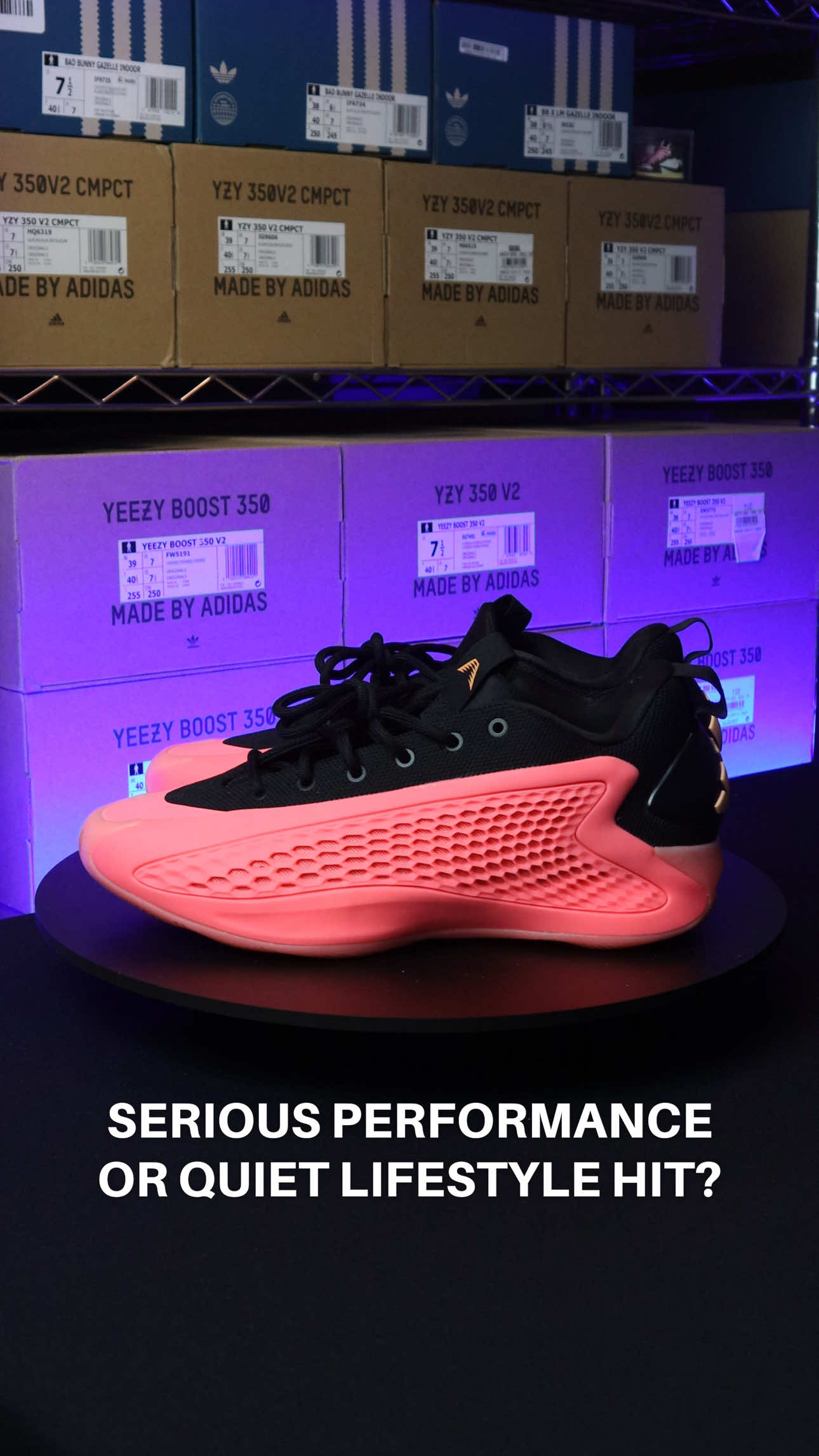 @Sneakers Rotation