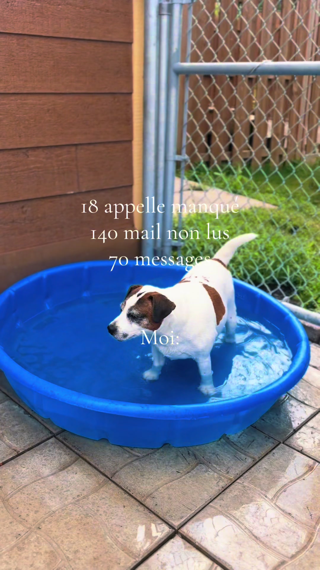 @Pension.canine.Aguerin