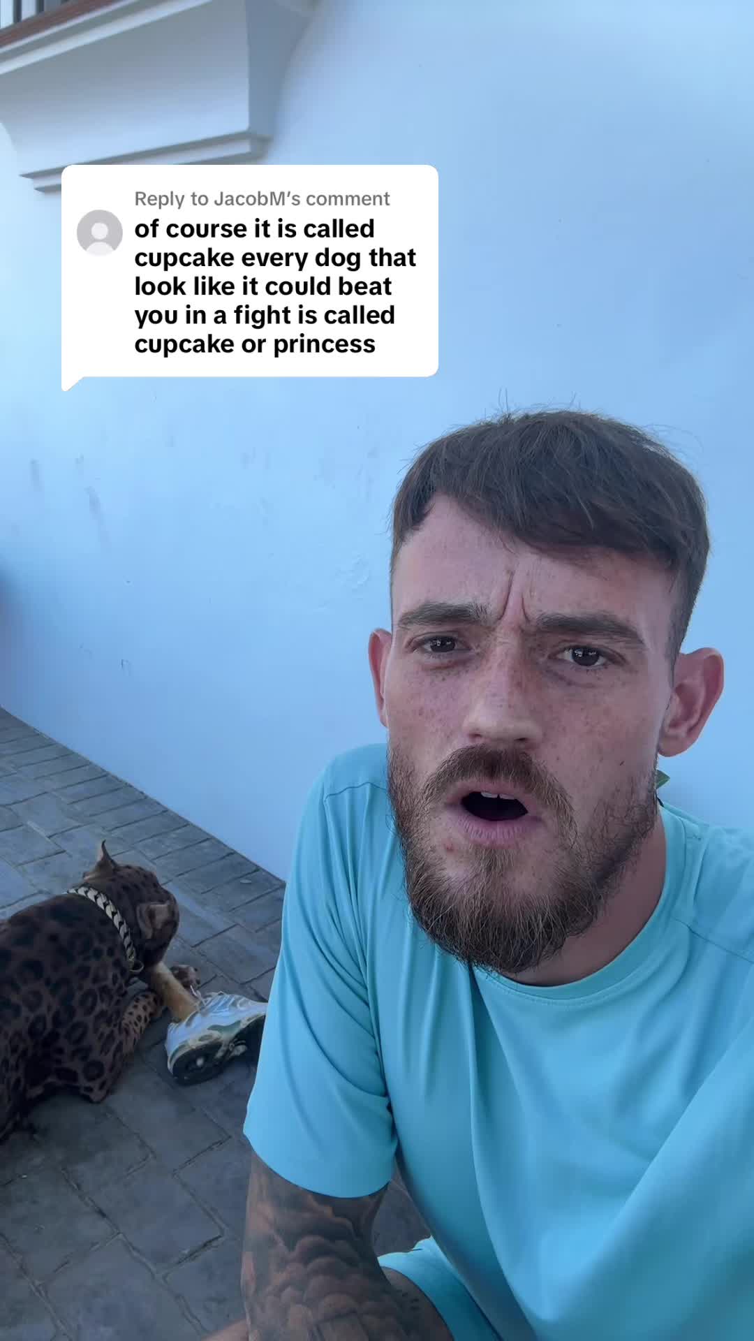 @deanthedogman1