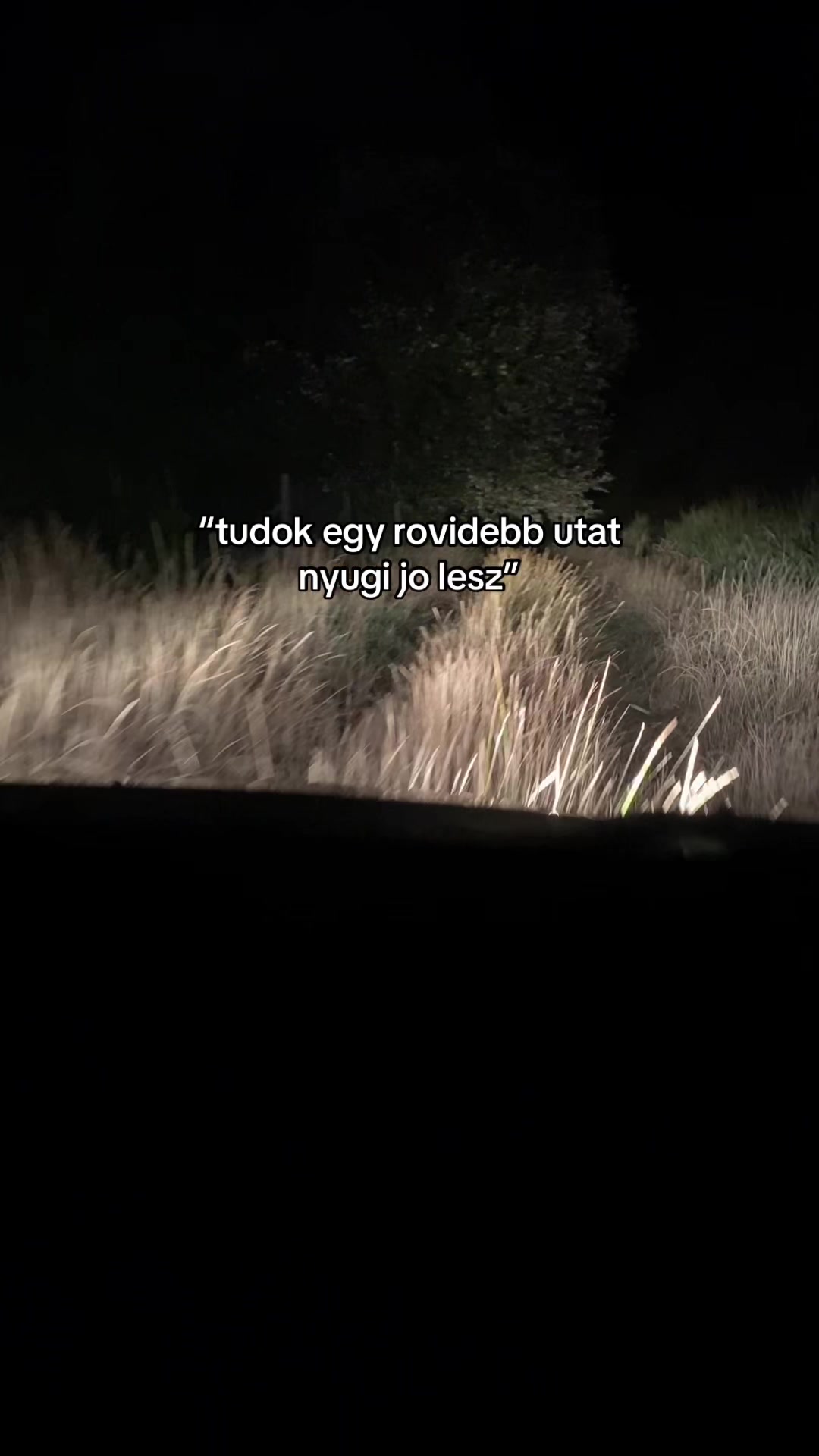@zolidinnyes