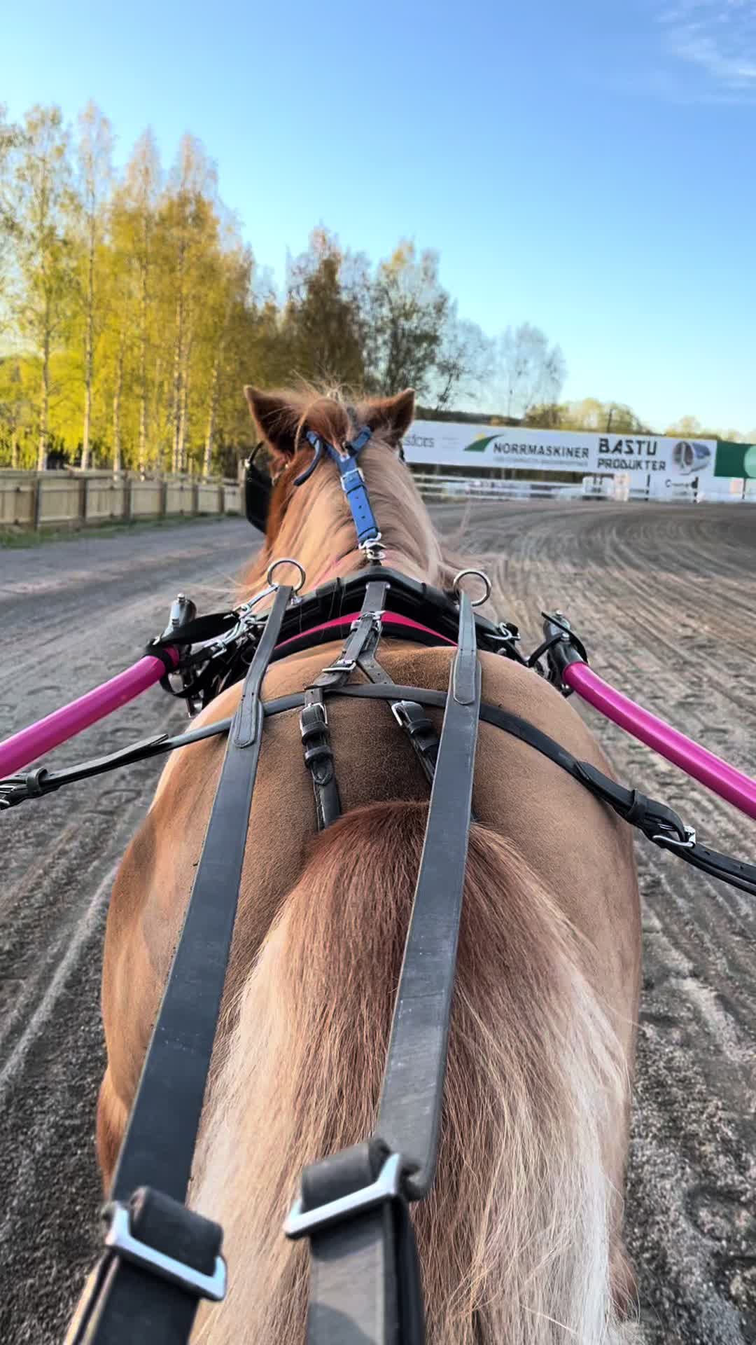 @ℐ𝓈𝒶𝒽🦄