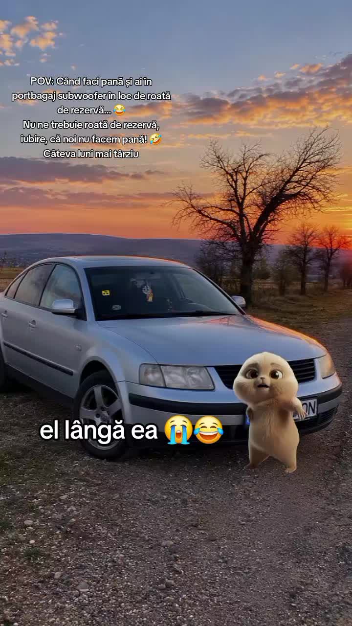 @Mona