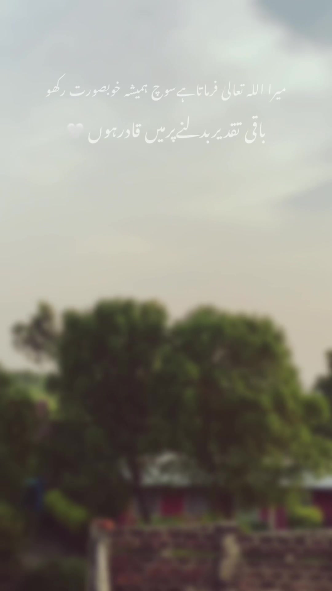 @✩ ᴍᴏʜꜱɪɴ ᴇᴅɪᴛꜱ ✩