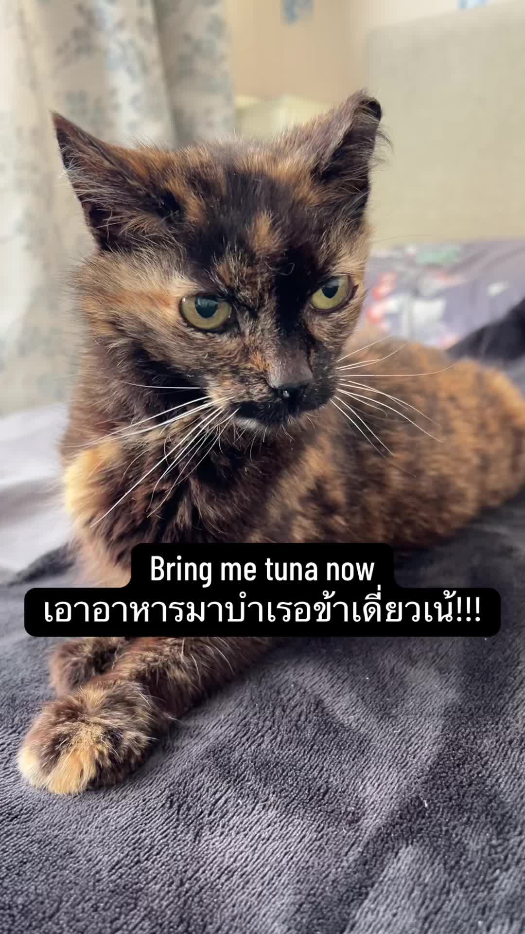 @Ann:)สาวไทยในไอร์แลนด์เหนือ