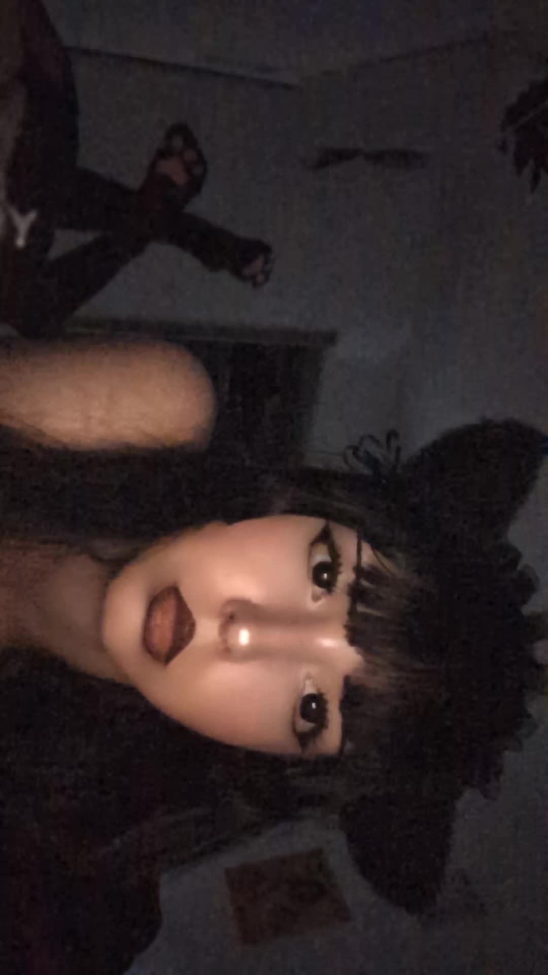 @Kathy🐾🩷
