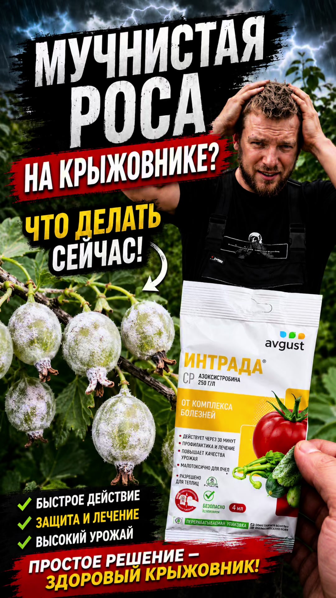 @Віктар Шэняўскі