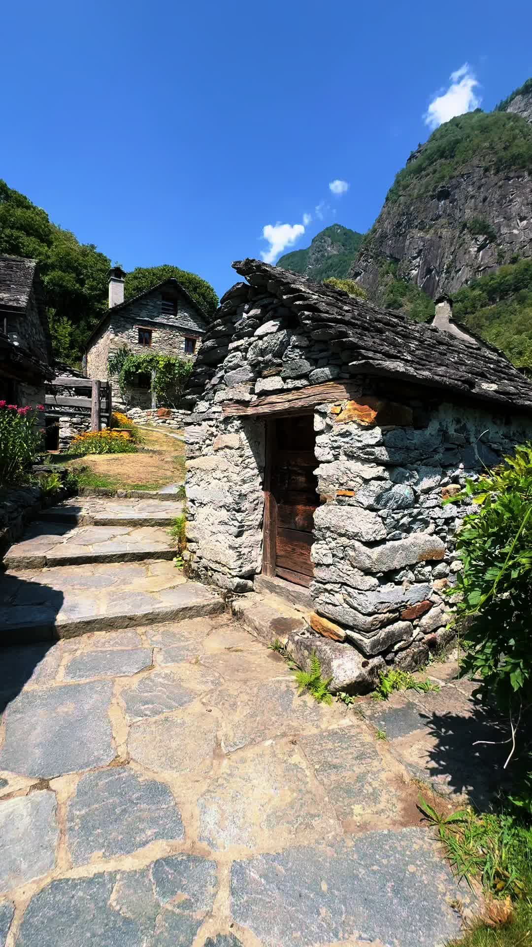@TatuSwiss🇨🇭❤️🇳🇵