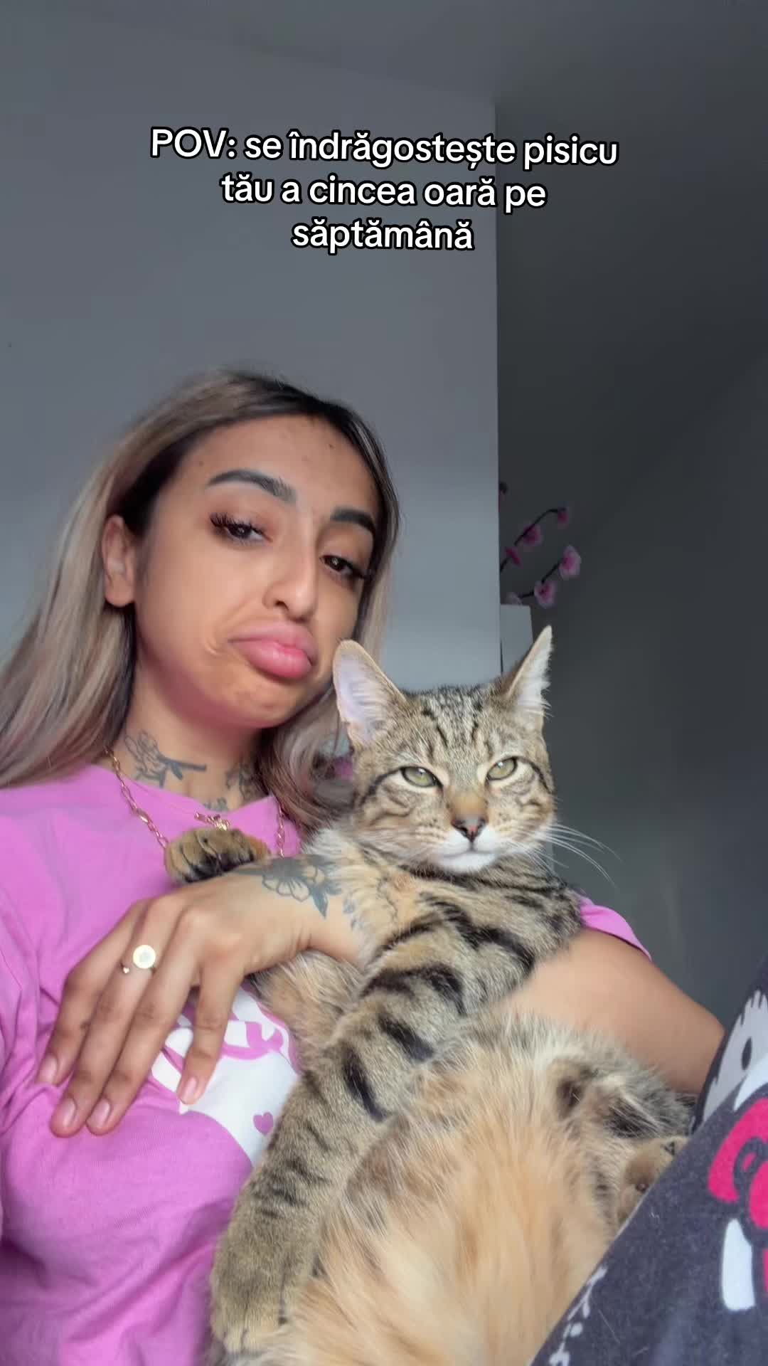 @Ale🐍