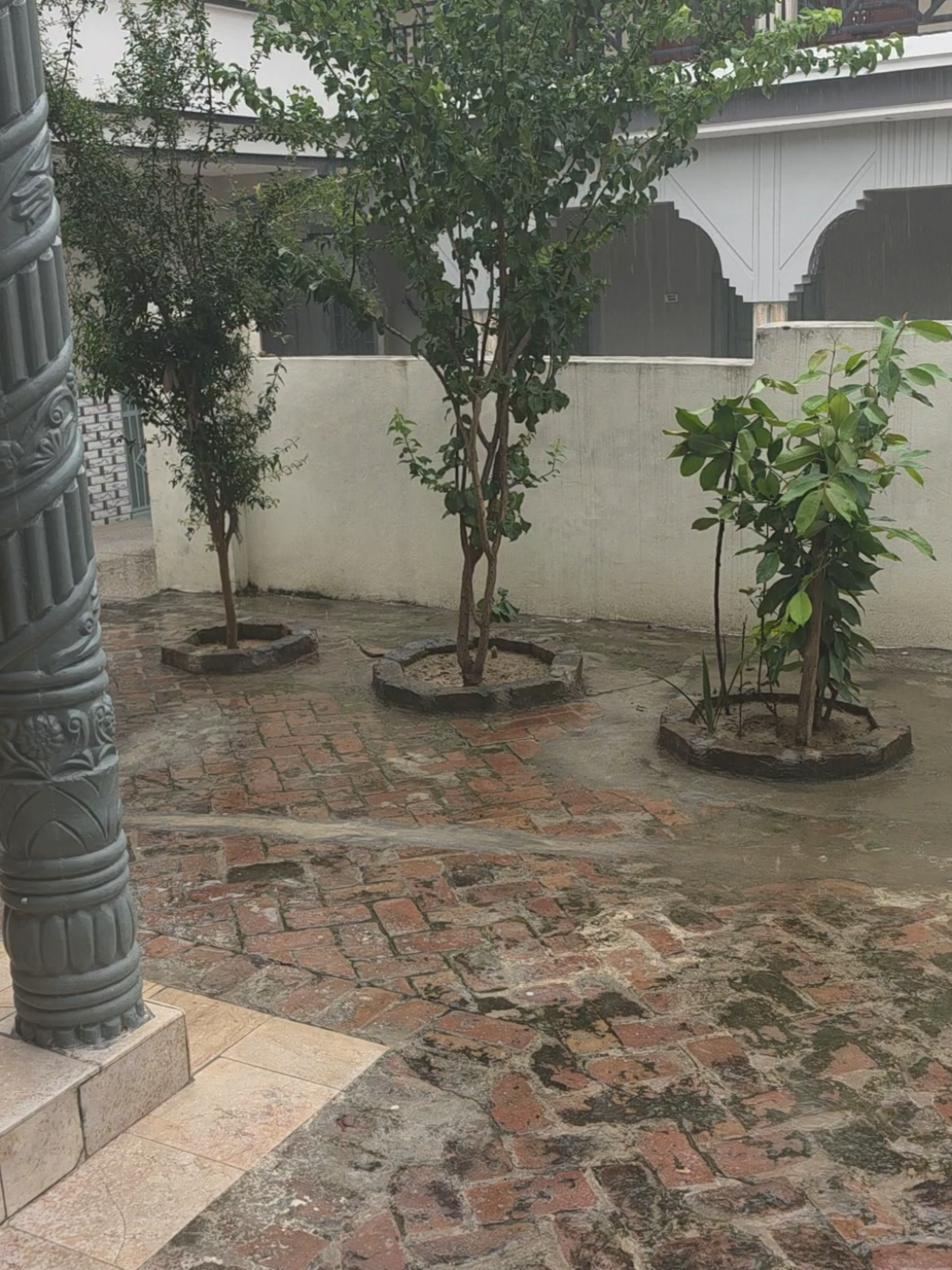 @&reg;️&reg;️𝕣ꪖꪗꫝꪊડડ&reg;️&reg;️ ریاض حسین