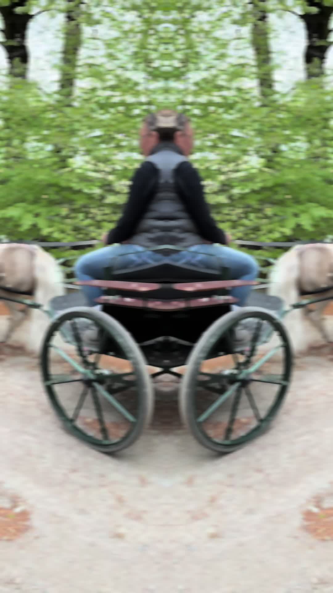 @Dartmoor Carriages