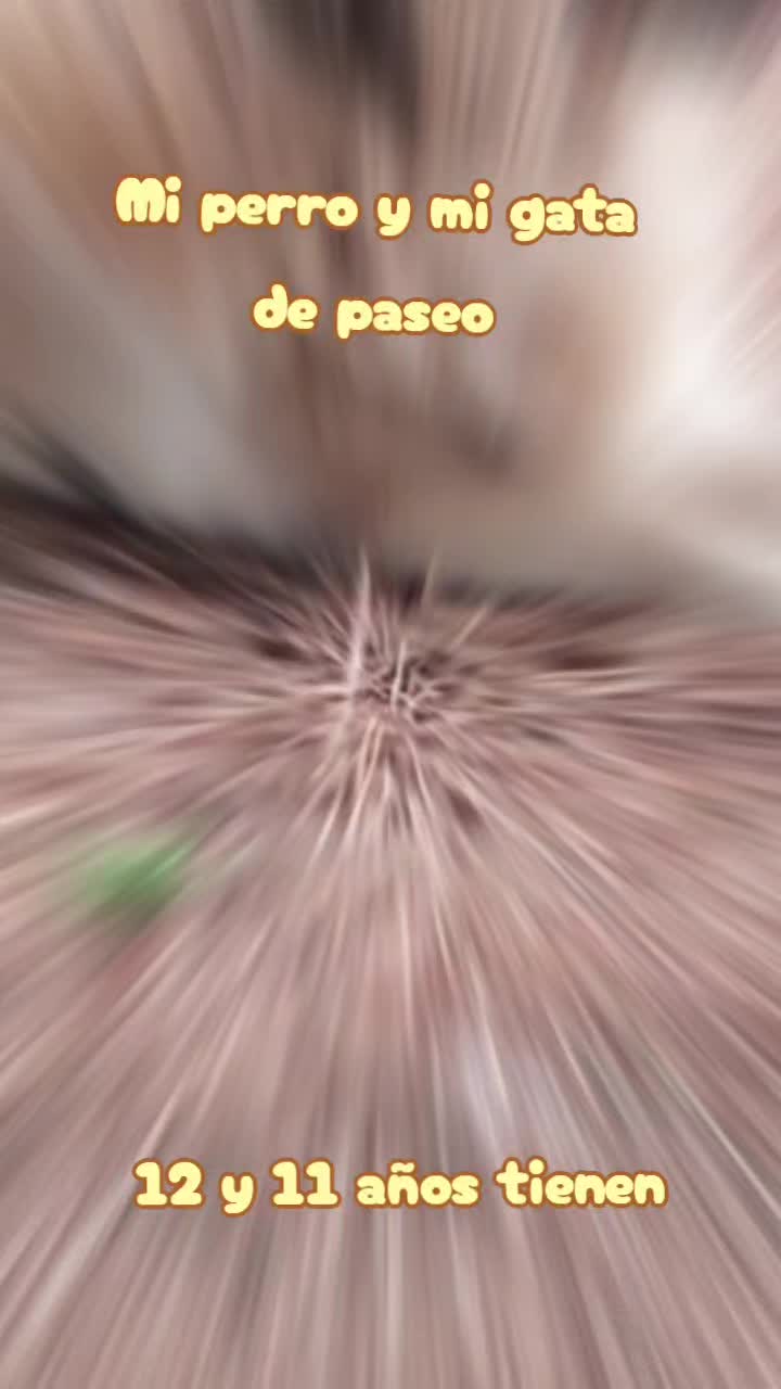@Montse E. Falcona