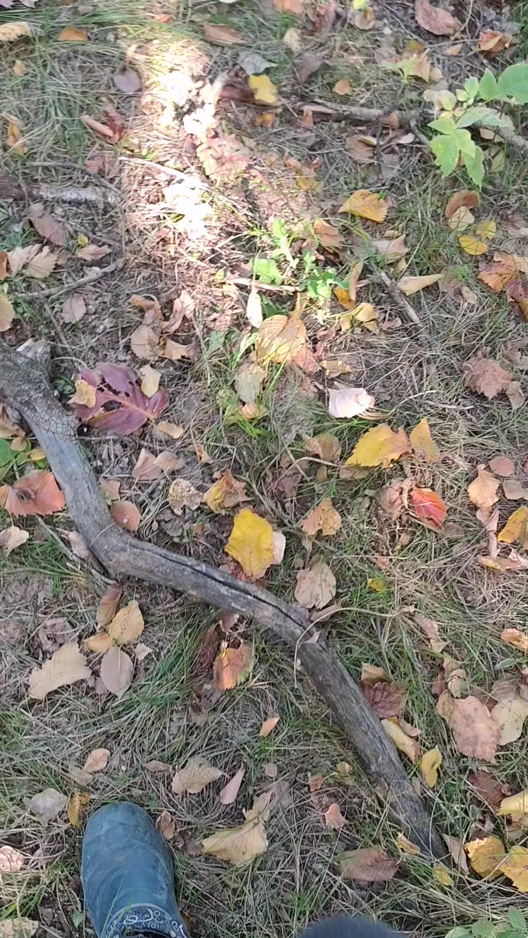 @Татьяна
