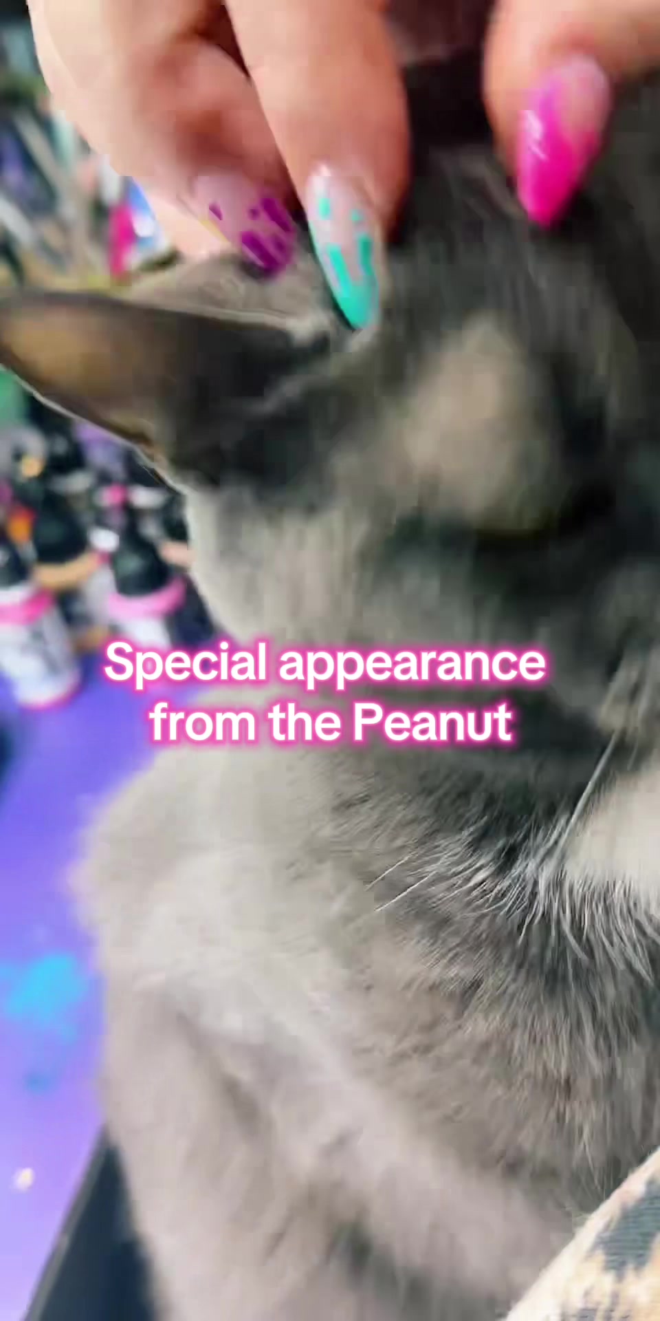 @PoppyJpaints 💜💚💜
