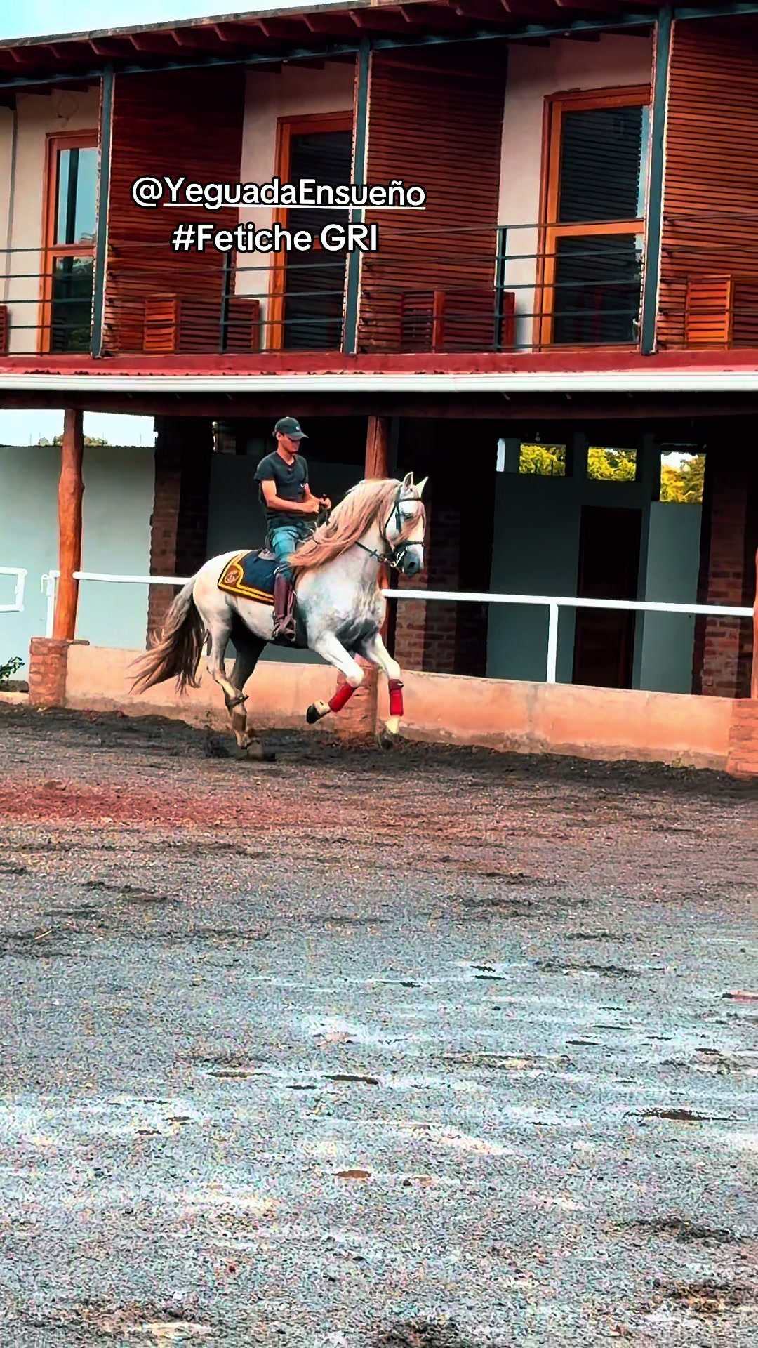 @EQUINOVET NICARAGUA