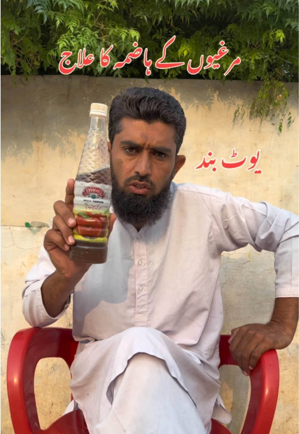@Poultry Markaz