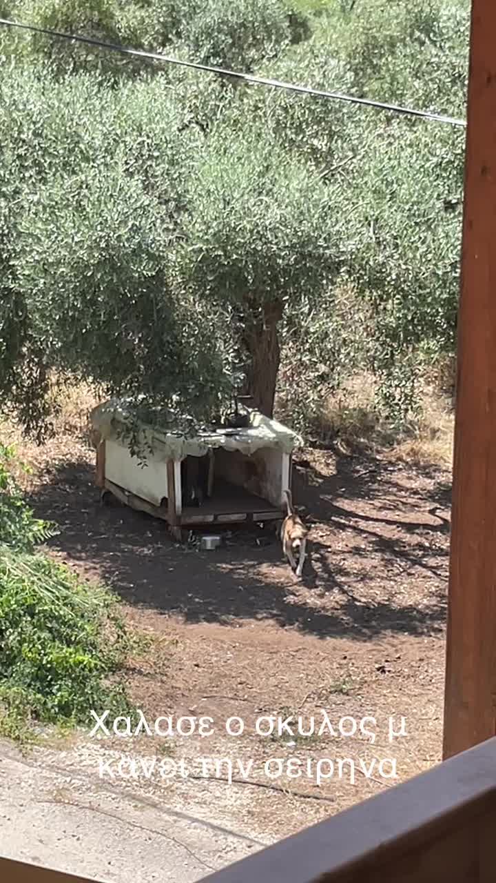 @Γεωργία
