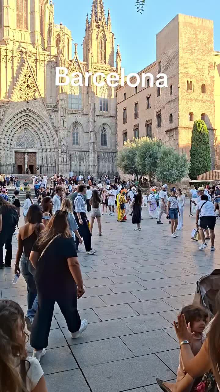 @Bcn🇮🇷🇪🇦🇵🇰