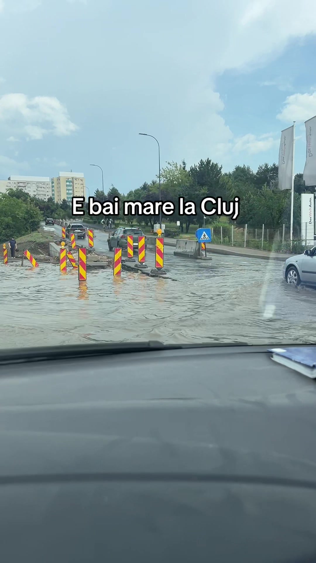 @Petruța Andrei Nicolae