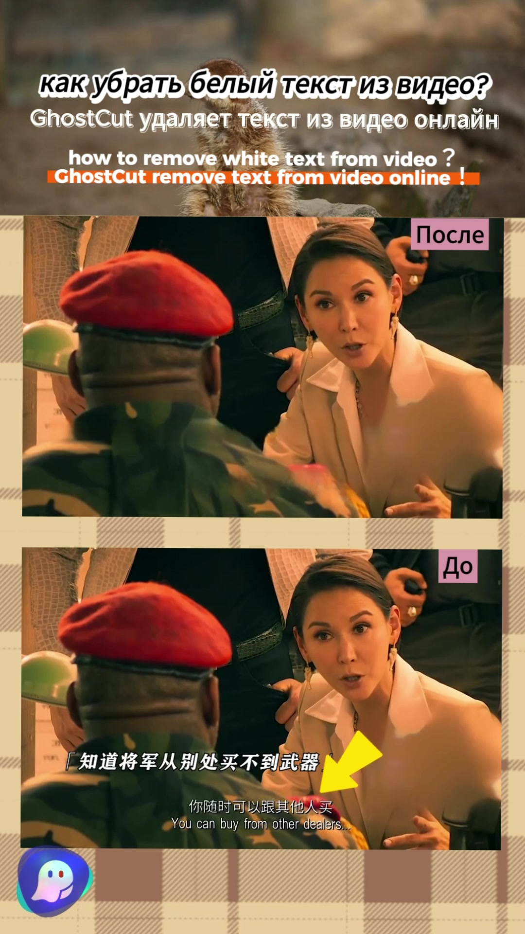@videotranslation