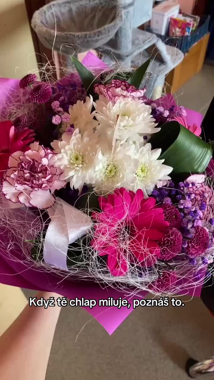 @_kubickovic_