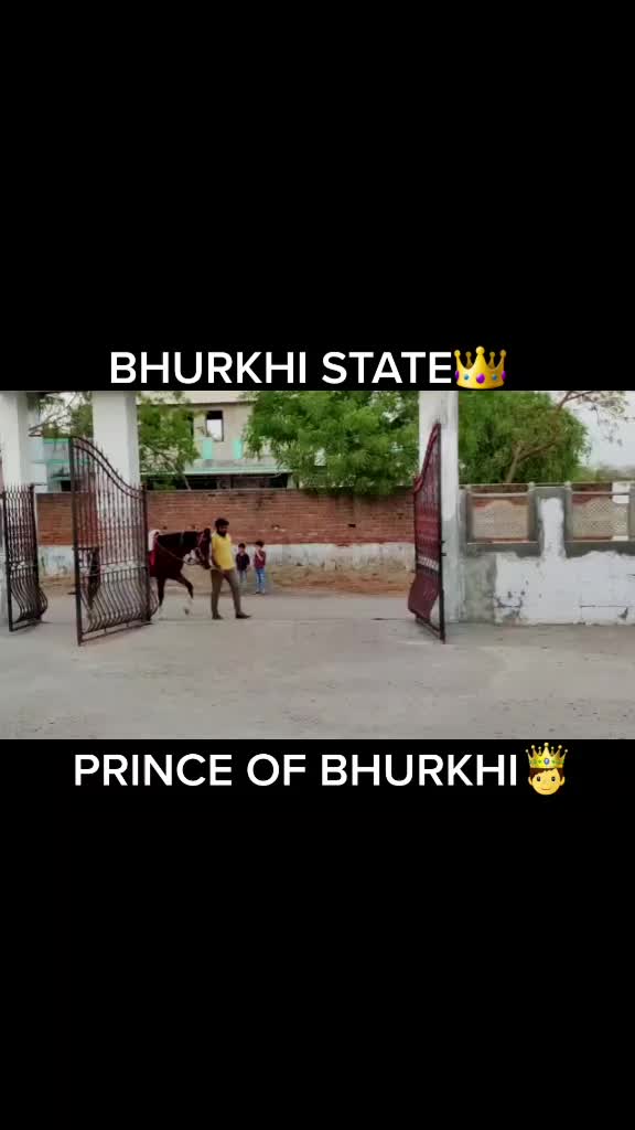 @Raj Mukhi