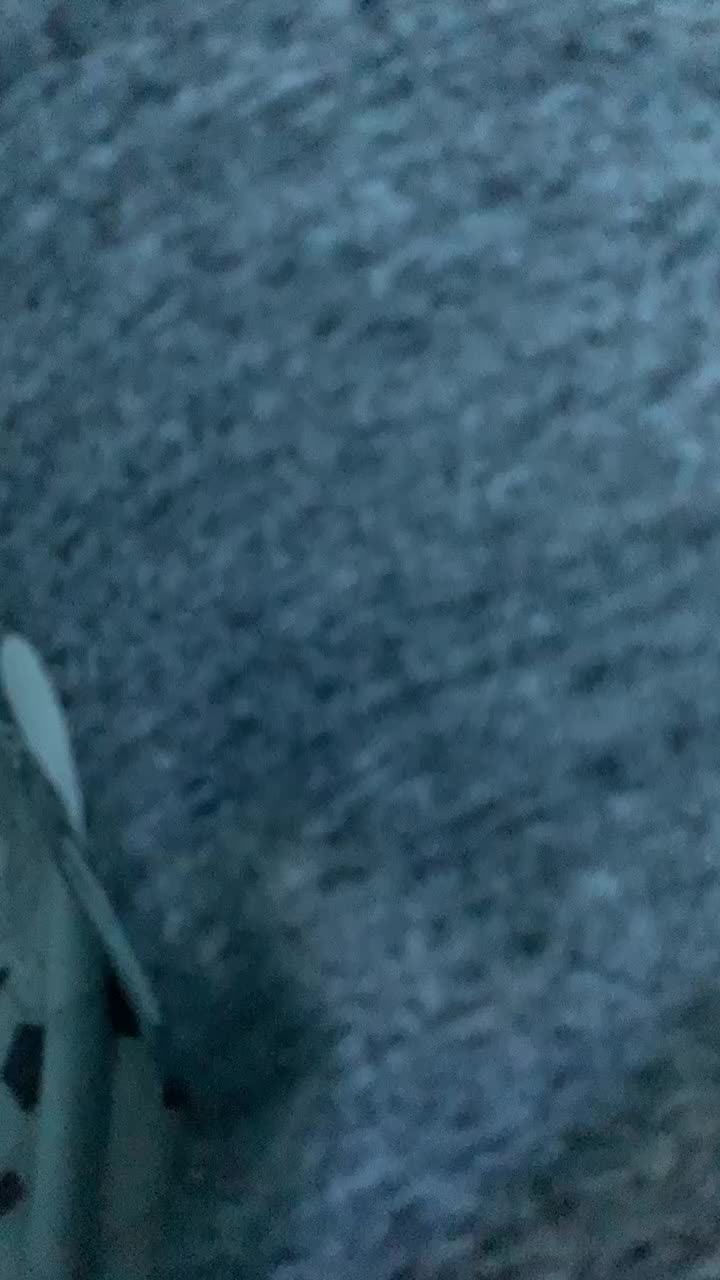 @Spike