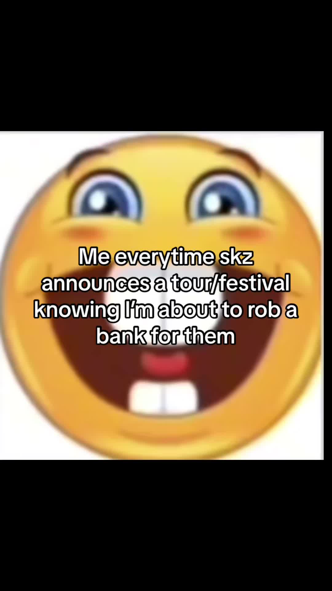 @SEEING SKZ IN LOLLA