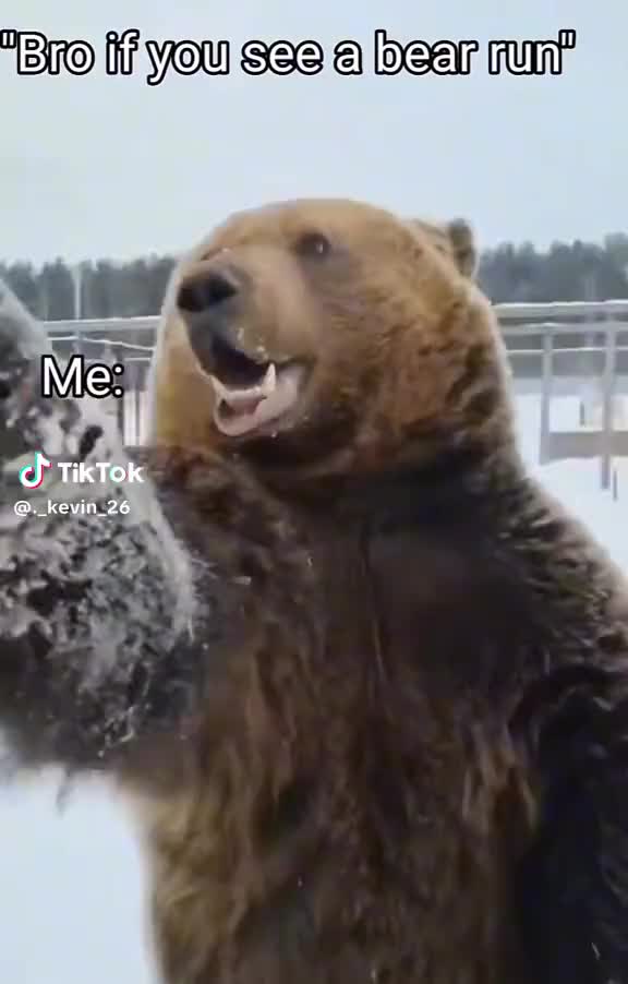 @T-290