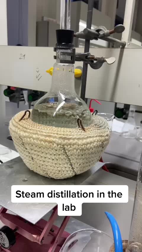 @JSTDCRS 🧪