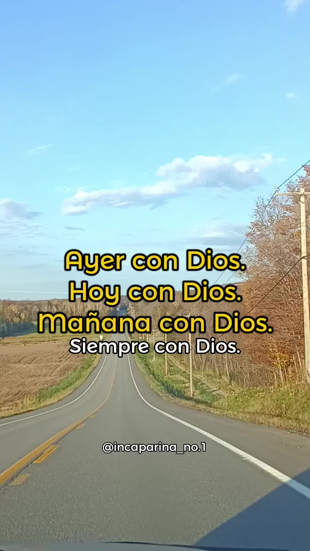 @incaparina_no.1