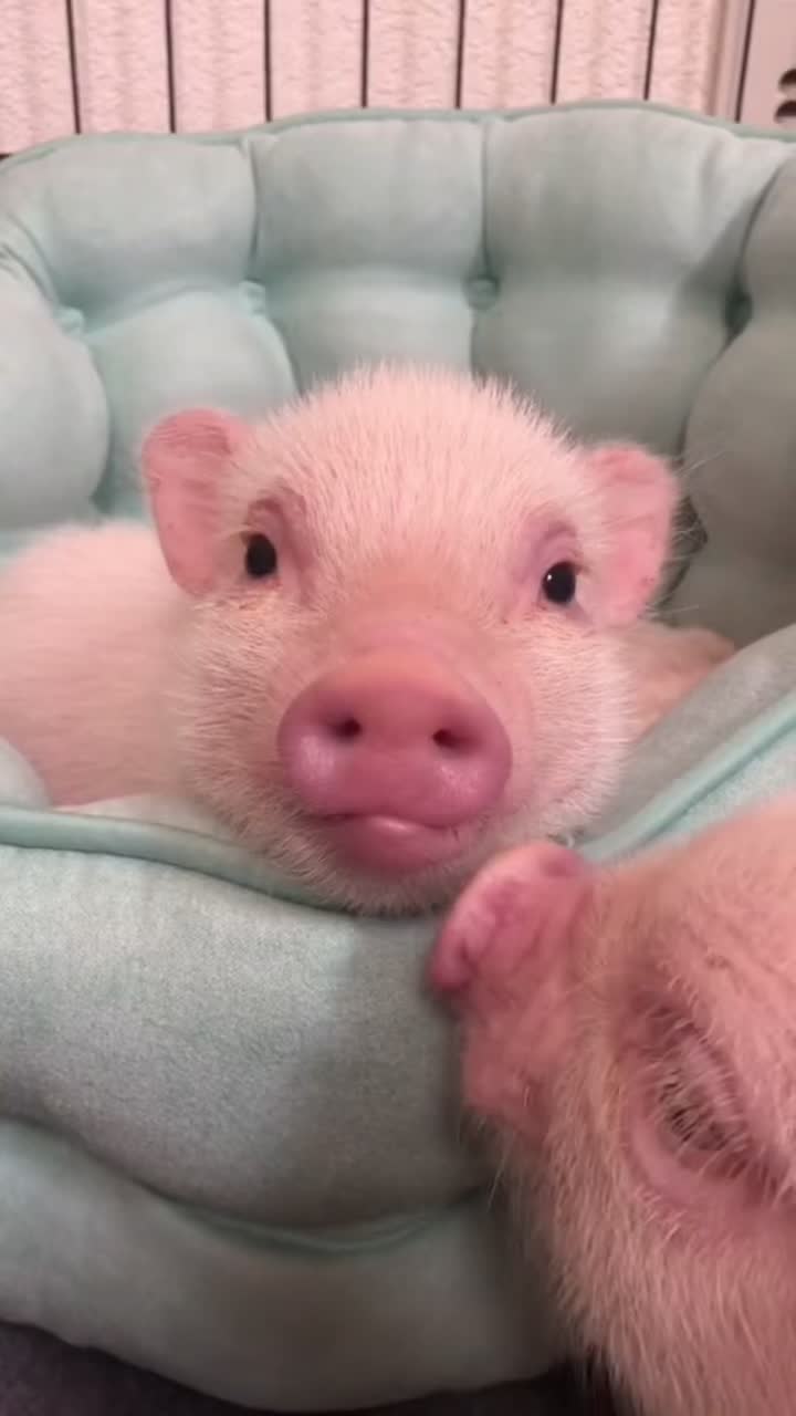 @GartonGatti