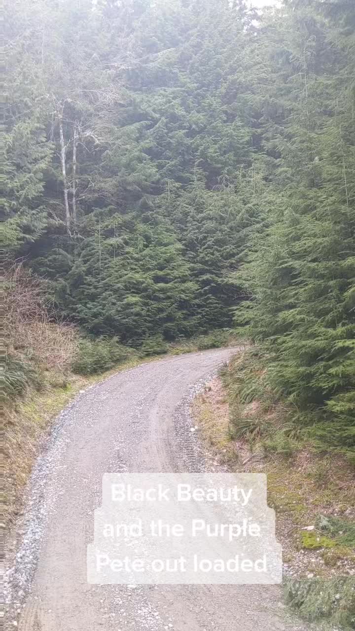 @Hiett logger