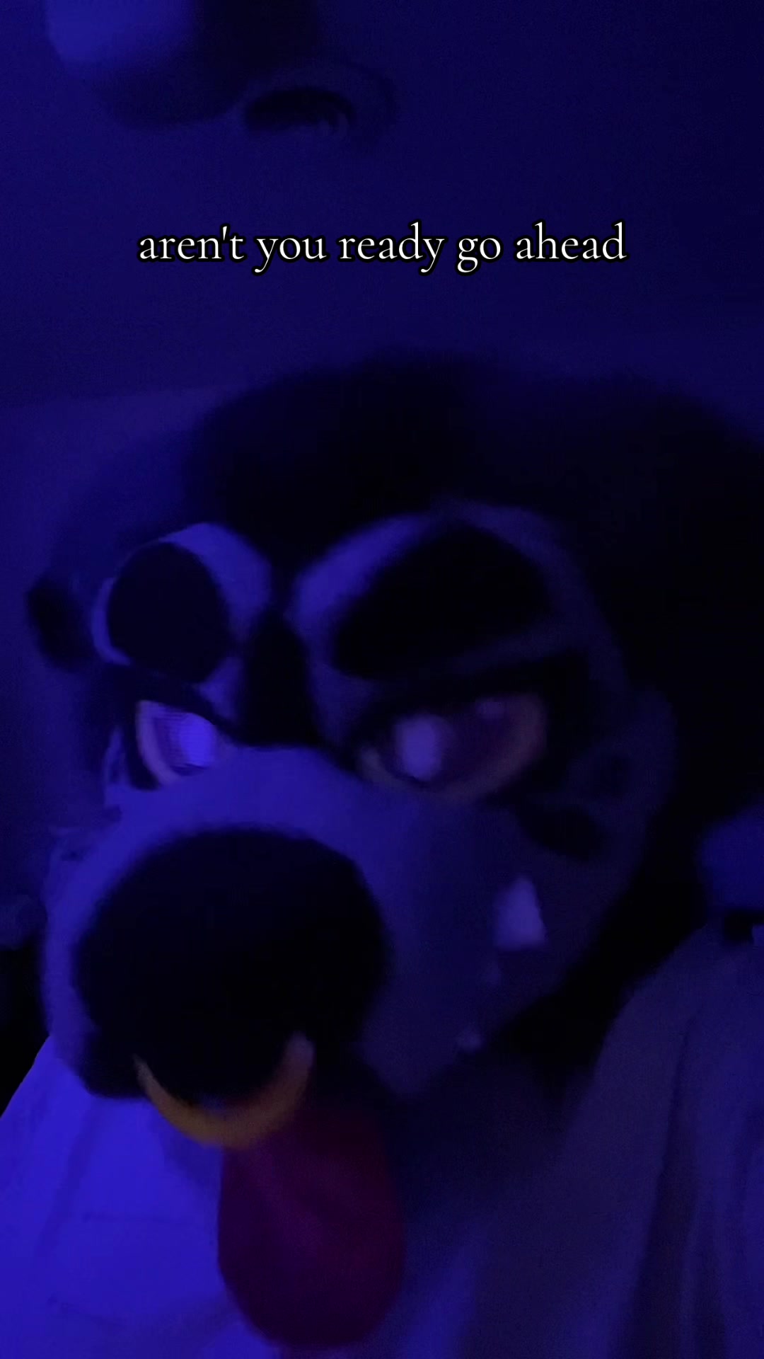 @go.catboy.go_piss